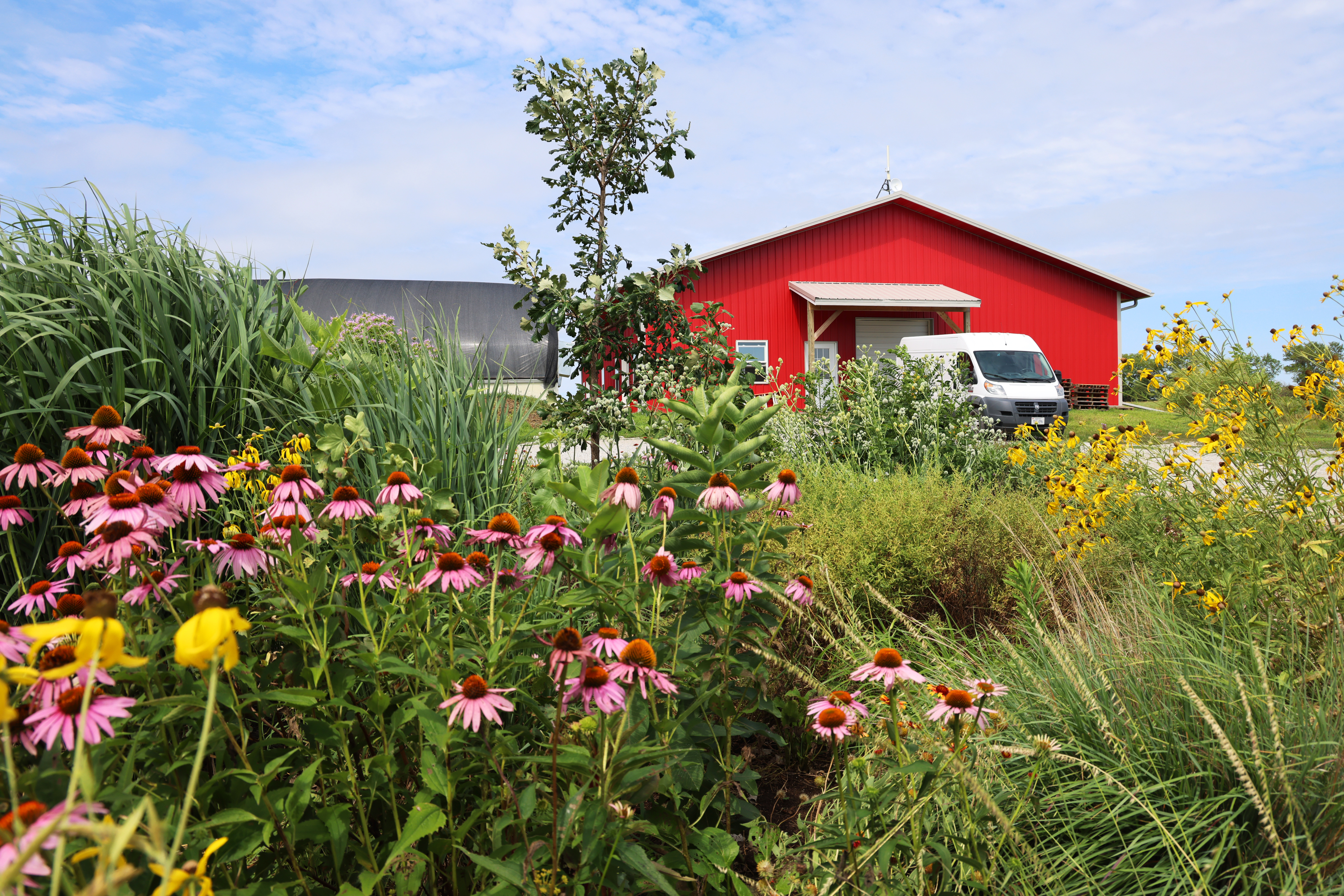Flowers in front of Robinette Farms in Martell, Neb., with a red barn in the background and a white delivery van in front of that.