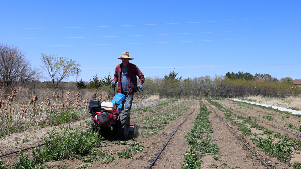 Man plowing garden