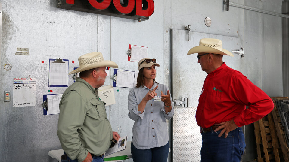 Local farmers talk about regional foods.