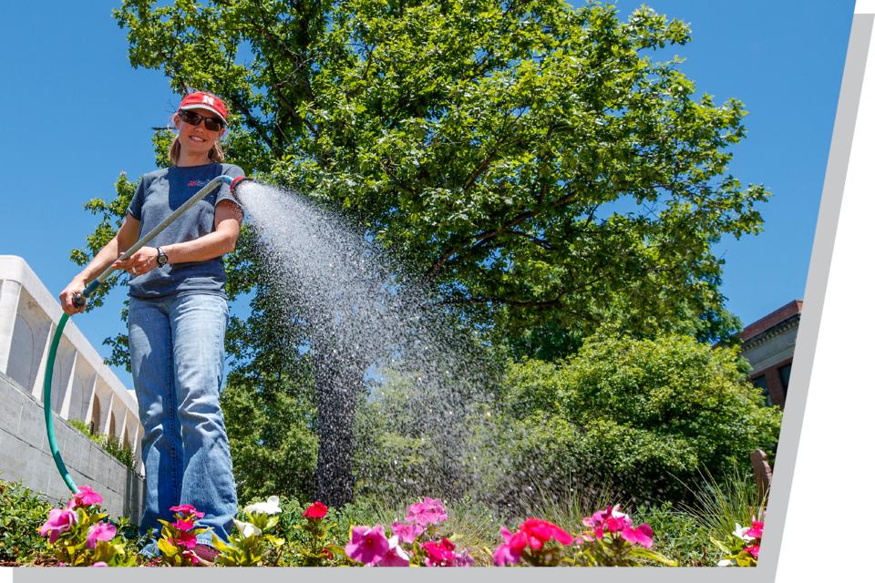 Person watering vibrant flowers with a garden hose on a sunny day, trees in the background.