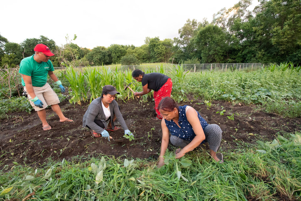 Local farmers cultivate their garden. Photo by Craig Chandler